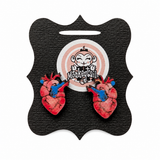 Anatomical Heart Stud Earrings